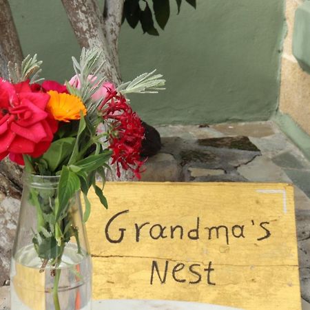 Grandma'S Nest Villa Kíssamos Eksteriør billede
