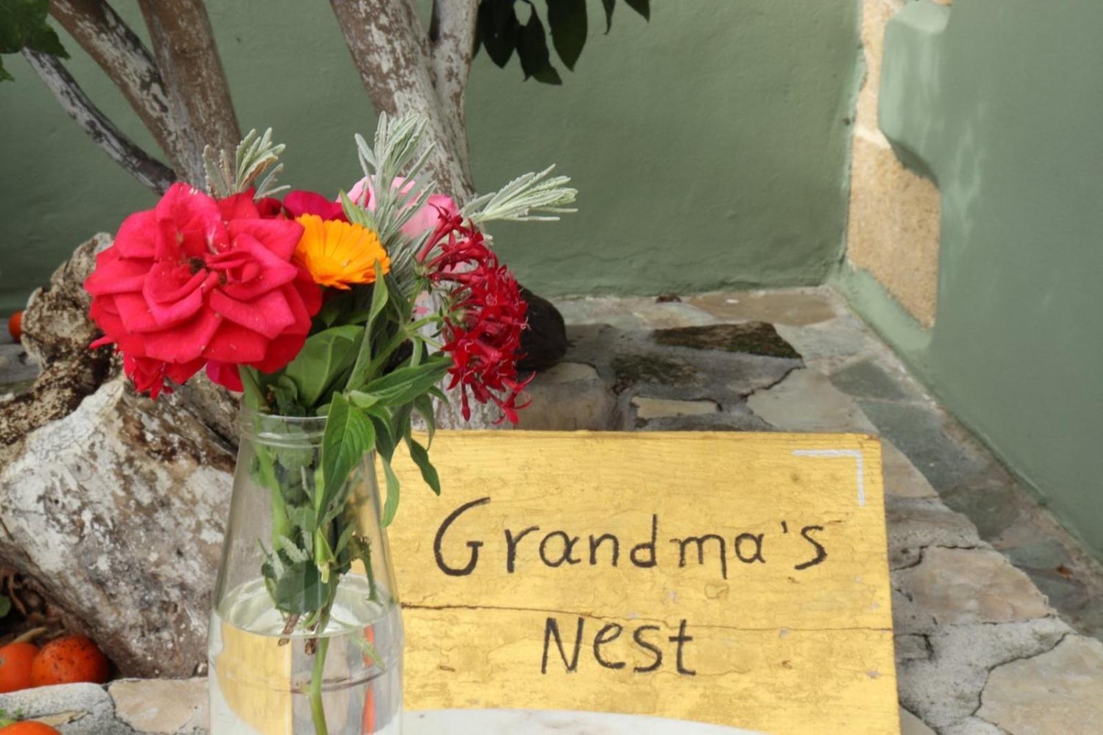 Grandma'S Nest Villa Kíssamos Eksteriør billede
